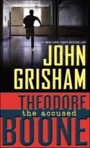 Theodore Boone - The Accused