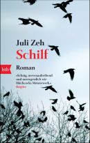 Schilf