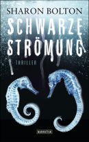 Schwarze Strömung