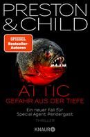 Attic - Gefahr aus der Tiefe